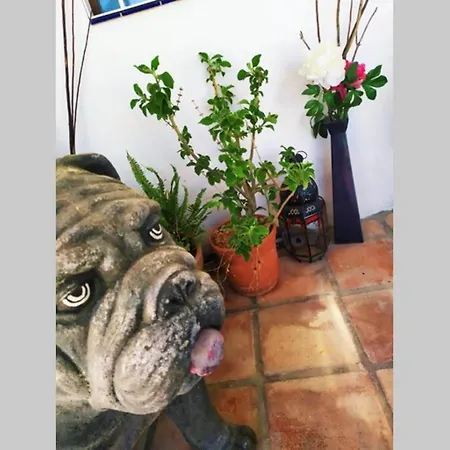 La Charca